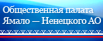 Общественная палата